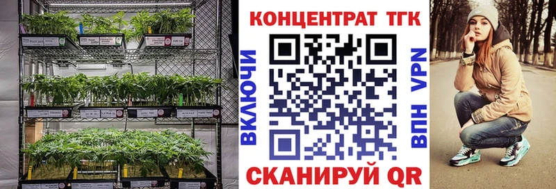 Купить  Майский  ТГК THC oil 